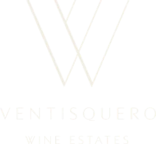 Ventisquero